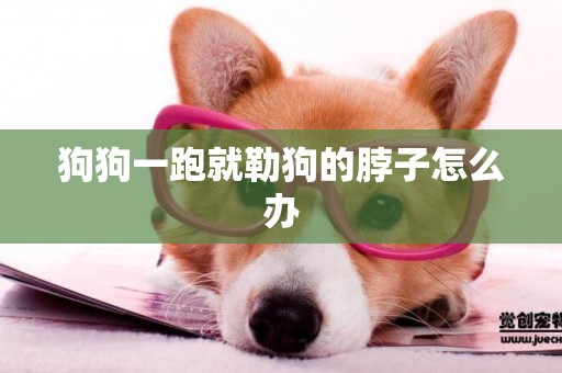 狗狗一跑就勒狗的脖子怎么辦