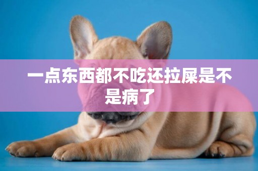 一點東西都不吃還拉屎是不是病了