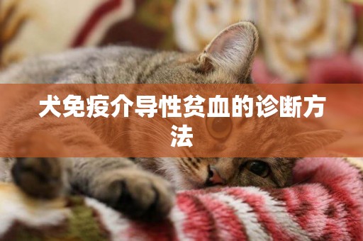 犬免疫介導性貧血的診斷方法