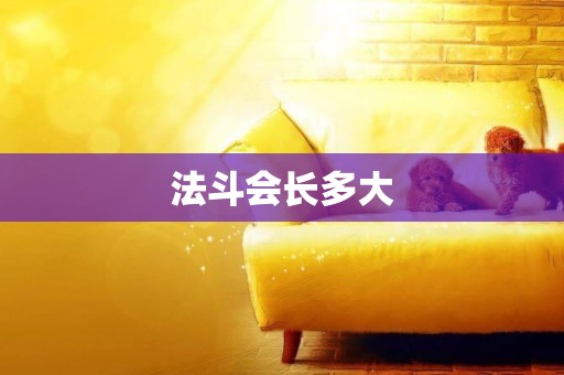 法斗會長多大