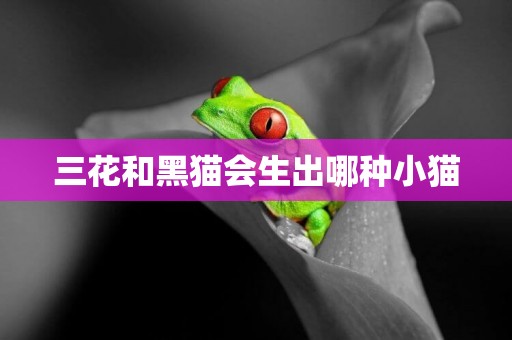 三花和黑貓會生出哪種小貓