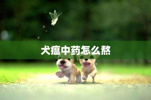 犬瘟中藥怎么熬
