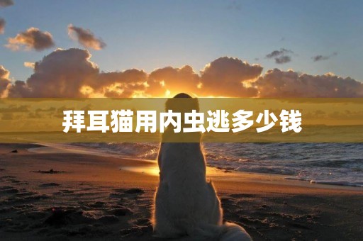 拜耳貓用內蟲逃多少錢