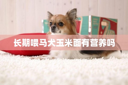 長期喂馬犬玉米面有營養嗎