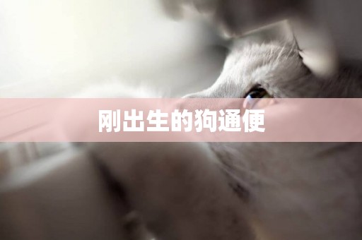 剛出生的狗通便