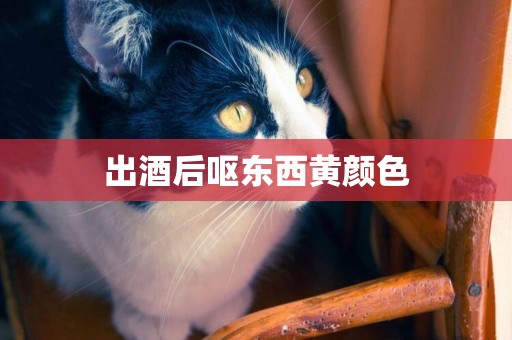 出酒后嘔東西黃顏色