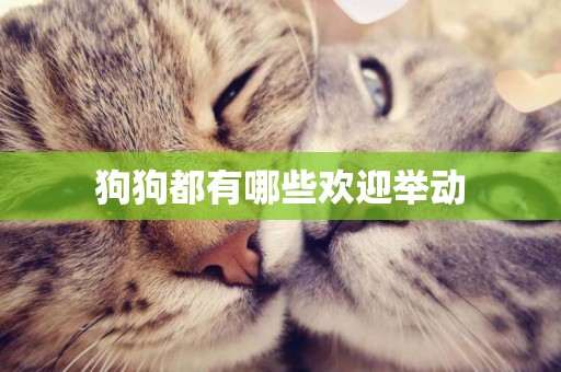狗狗都有哪些歡迎舉動
