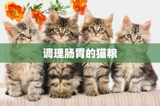 調理腸胃的貓糧