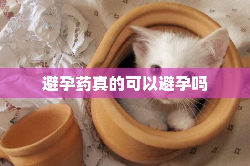 避孕藥真的可以避孕嗎
