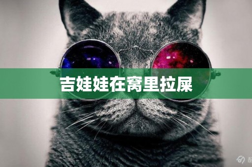 吉娃娃在窩里拉屎