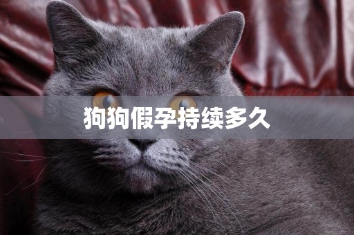 狗狗假孕持續多久