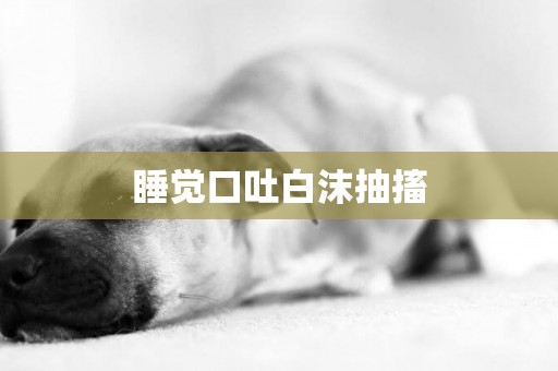 睡覺口吐白沫抽搐