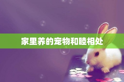 家里養的寵物和睦相處