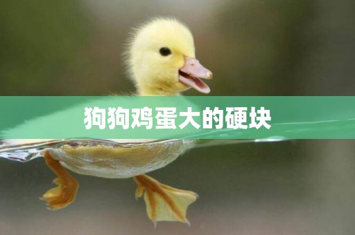 狗狗雞蛋大的硬塊