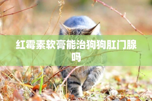 紅霉素軟膏能治狗狗肛門腺嗎