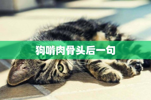 狗啃肉骨頭后一句