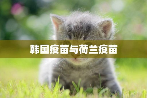 韓國疫苗與荷蘭疫苗