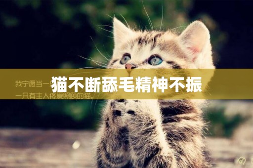 貓不斷舔毛精神不振