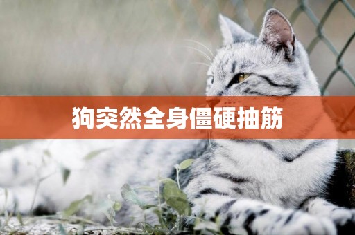 狗突然全身僵硬抽筋