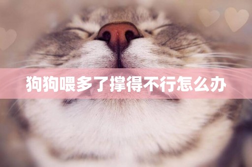 狗狗喂多了撐得不行怎么辦