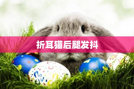 折耳貓后腿發抖