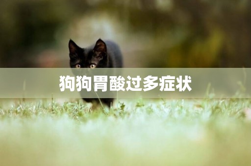 狗狗胃酸過多癥狀