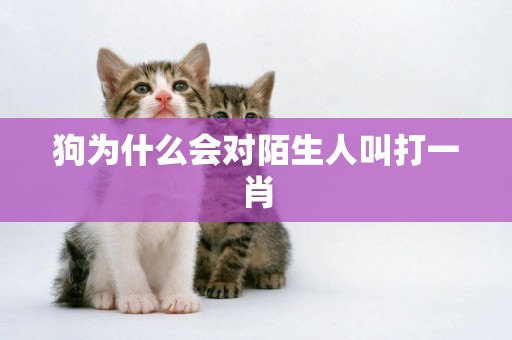 狗為什么會對陌生人叫打一肖