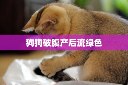 狗狗破腹產后流綠色