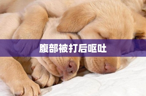 腹部被打后嘔吐