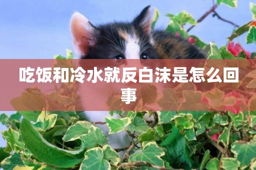 吃飯和冷水就反白沫是怎么回事