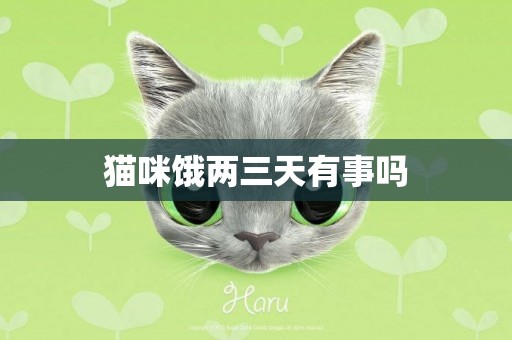 貓咪餓兩三天有事嗎