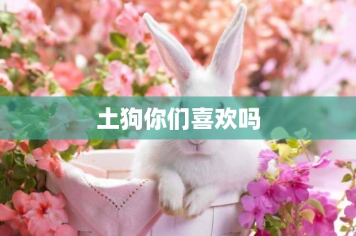 土狗你們喜歡嗎