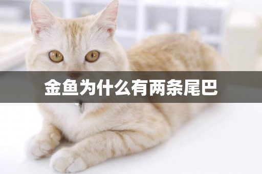 金魚為什么有兩條尾巴