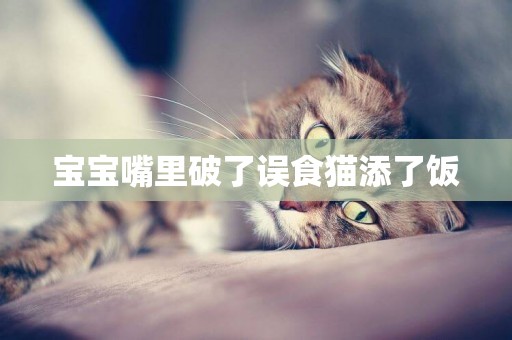 寶寶嘴里破了誤食貓添了飯