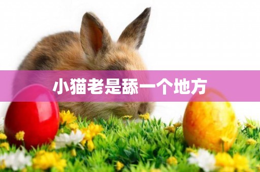 小貓老是舔一個地方