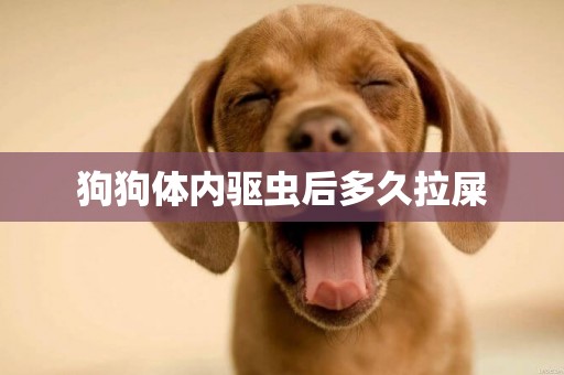 狗狗體內驅蟲后多久拉屎