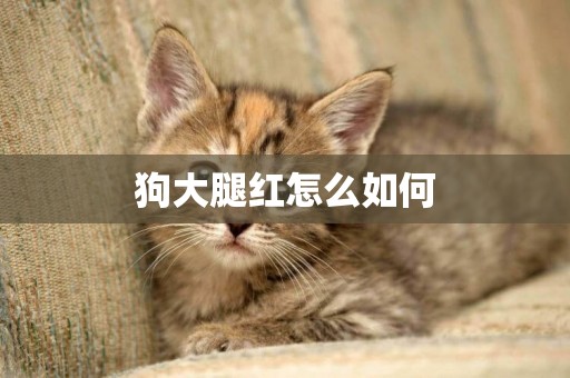 狗大腿紅怎么如何