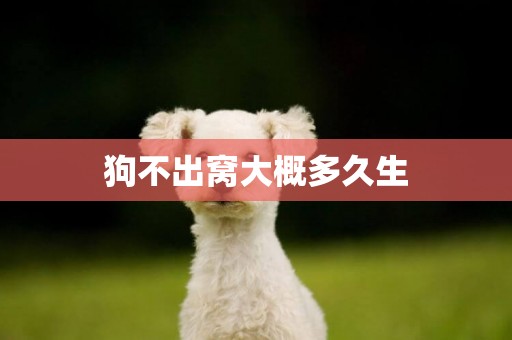 狗不出窩大概多久生