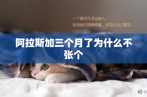 阿拉斯加三個月了為什么不張個