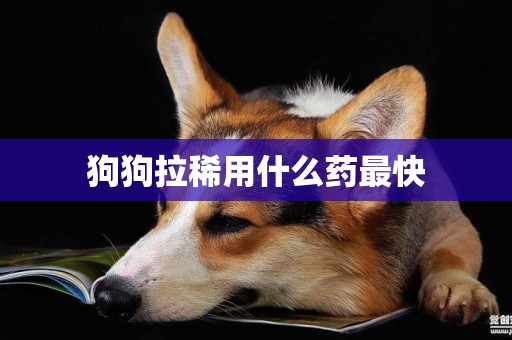 狗狗拉稀用什么藥最快