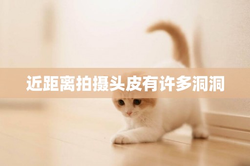 近距離拍攝頭皮有許多洞洞