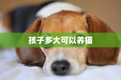 孩子多大可以養貓
