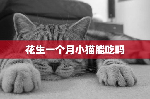 花生一個月小貓能吃嗎