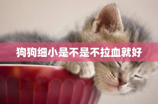 狗狗細小是不是不拉血就好