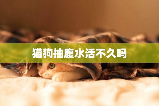 貓狗抽腹水活不久嗎