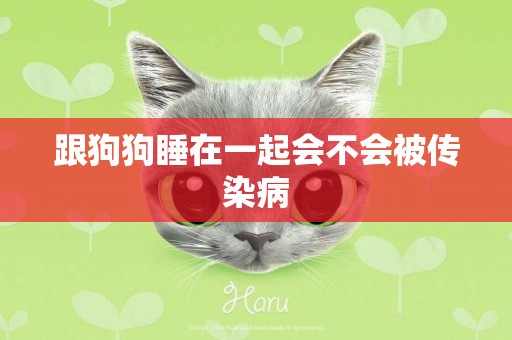 跟狗狗睡在一起會不會被傳染病