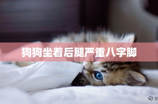 狗狗坐著后腿嚴重八字腳