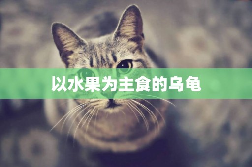 以水果為主食的烏龜