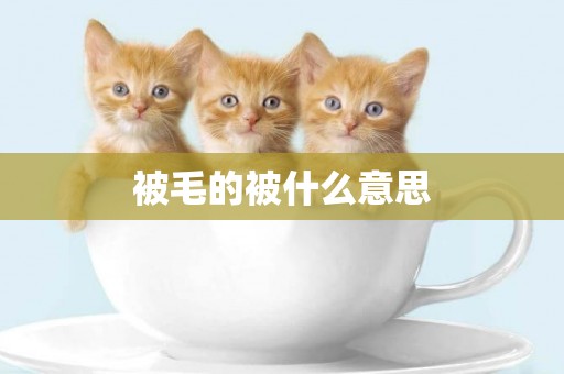 被毛的被什么意思