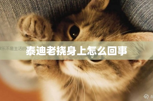 泰迪老撓身上怎么回事